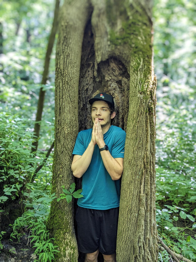 The trees speak Vietnamese The trees speak Vietnamese